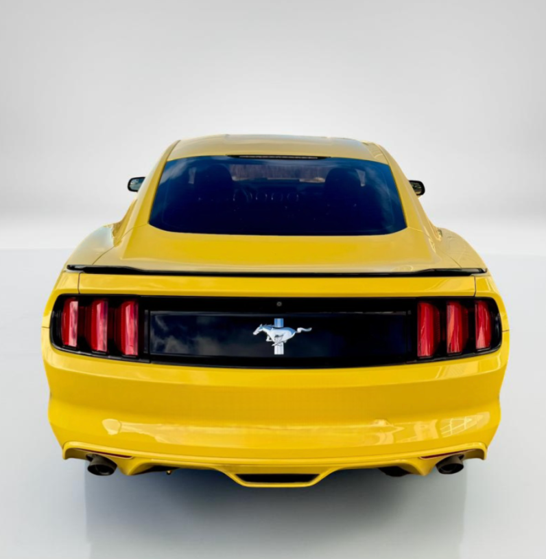 Mustang