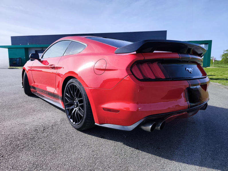 Mustang