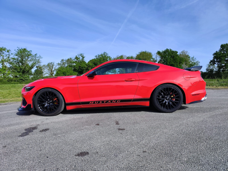 Mustang