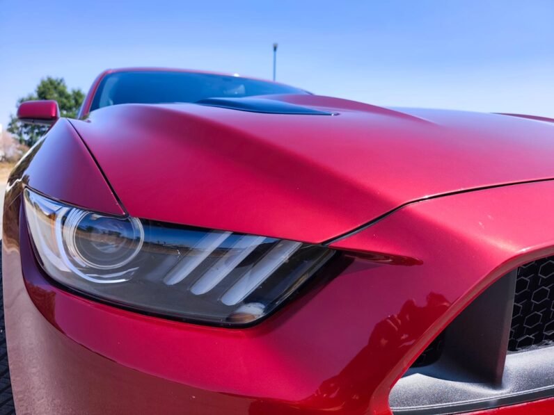 FORD MUSTANG