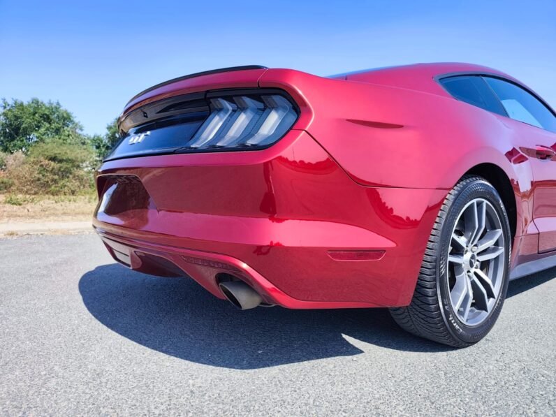 FORD MUSTANG